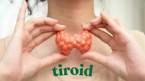 Tiroid ve Hashimoto'da Beslenme Danışmanlığı